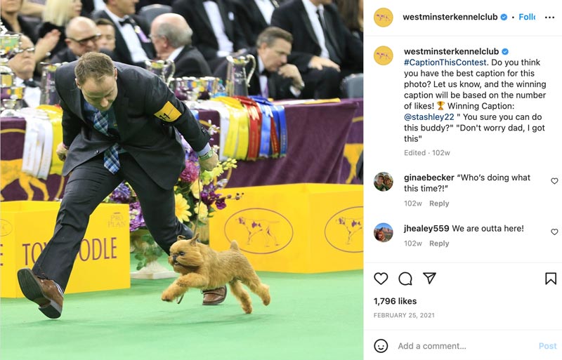 instagram caption contest