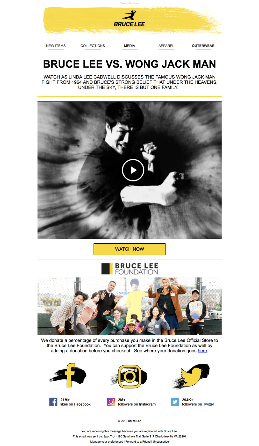 Bruce Lee Mamba Mentality Email Blast