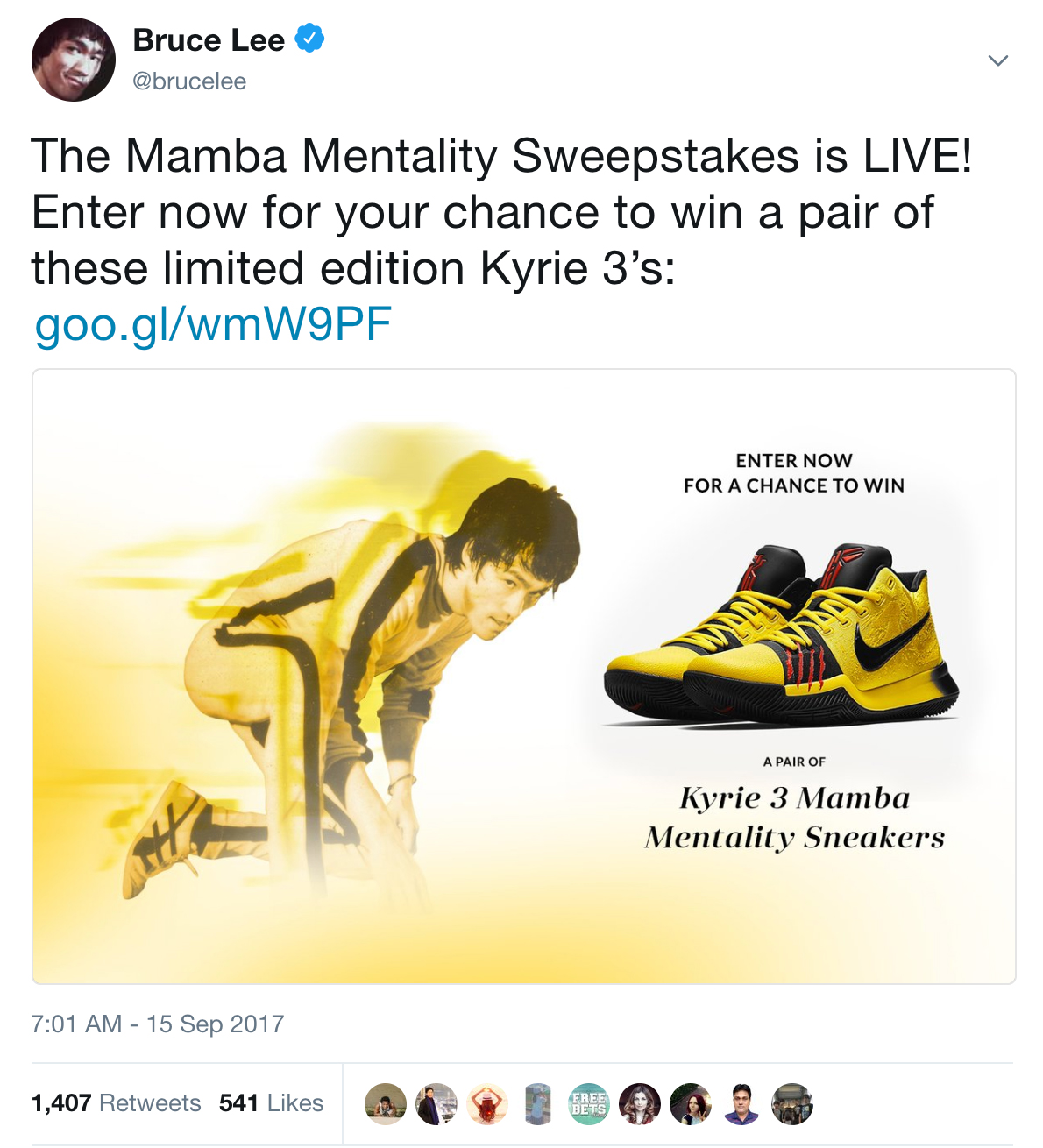 Bruce Lee Mamba Mentality Twitter Posts