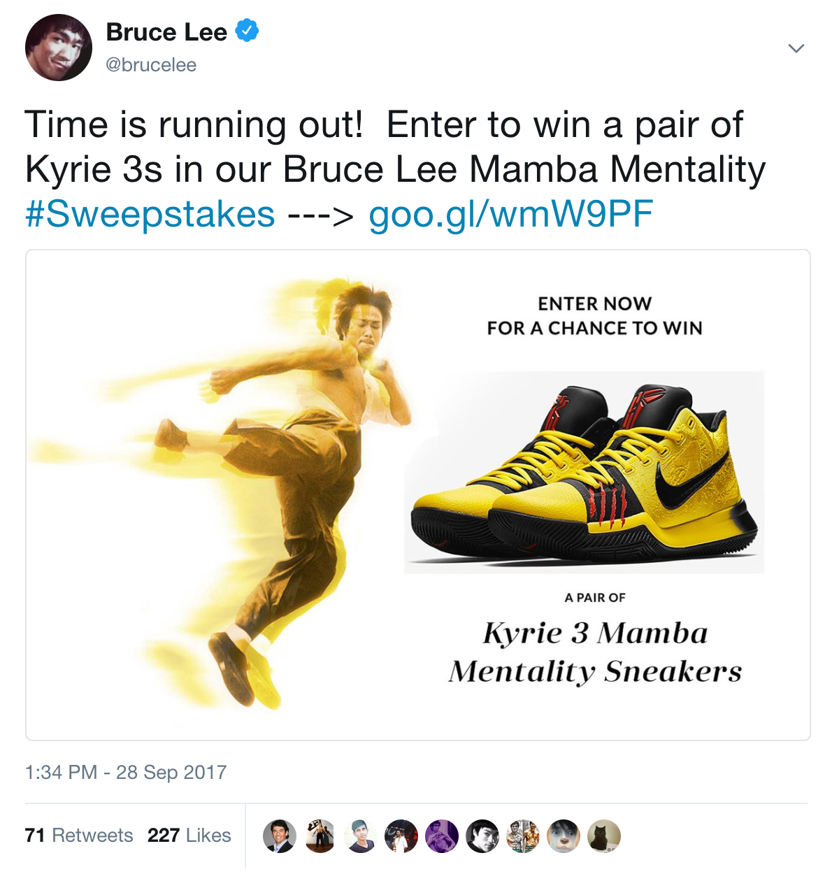 Bruce Lee Mamba Mentality Twitter Posts