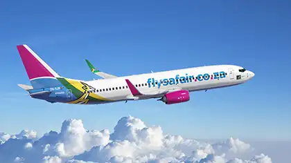 FlaySafair background image
