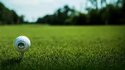 LostGolfBalls background image